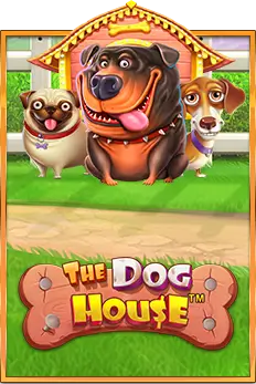 the dog house